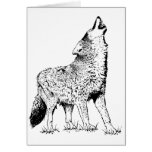 Coyote Greeting Cards