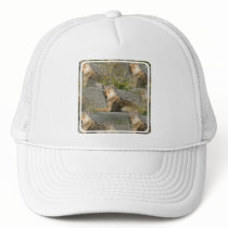 Coyote Images Baseball Hat