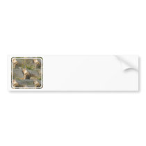 Coyote Images Bumper STickers