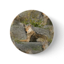 Coyote Images Round Button