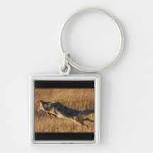 coyote jumping keychain