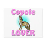 Coyote Lover postcards