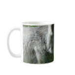 coyote coffee mugs