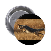 coyote pinback button