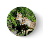 Coyote Pups buttons