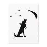 Coyote Silhouette postcards