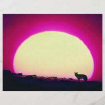 Coyote, Southwest, special effect Full Colour Flyer