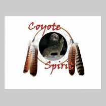 Coyote Spirit postcards