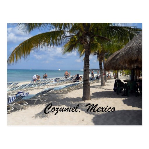 Cozumel, Mexico Postcard