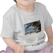 Cozumel, Mexico Shirt
