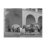 Cozumel street post card