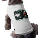 Cozy Couple Pet Tshirt