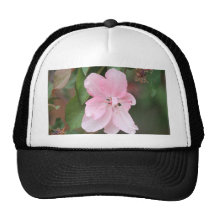 Crab Apple Blossom Hat