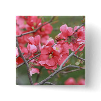Crab Apple Blossoms Pinback Button