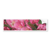 Crab Apple Flower Bumper Stickers