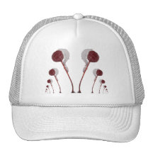 Crab Apple Mountain ~ hat