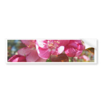 Crab Apple Tree in Bloom Bumper Stickers