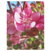 Crab Apple Tree in Bloom Personalized Flyer