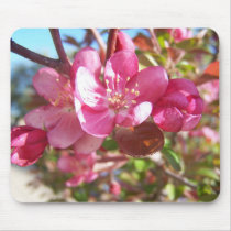 Crab Apple Tree in Bloom Mousepads