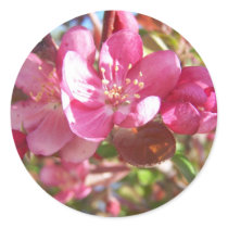 Crab Apple Tree in Bloom Round Stickers