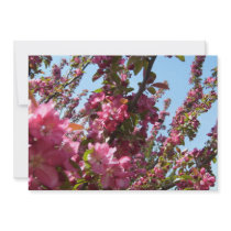 Crab Apple Tree Invitation