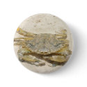 Crab buttons