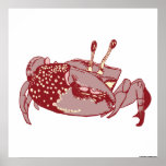 Crab Illustration Poster posters