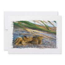 Crab on beach dune at sunset personalized invitations
