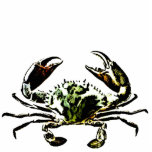 Crab photo sculptures