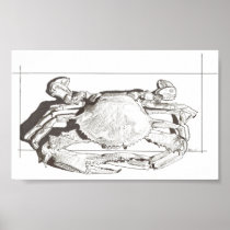 Crab Print