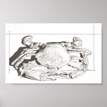 Crab Print