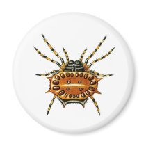 Crab Spider Magnet