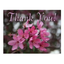CrabApple Blossom Thank You Post Card