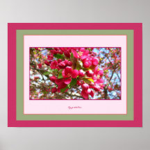 Crabapple Blossoms 2 Photo Poster by gretchen
