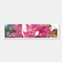Crabapple Blossoms Bumper Stickers