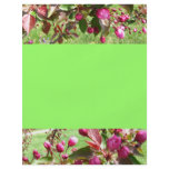 Crabapple Blossoms Flyer