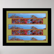 Crabapple Tree Collage 3 Photo Poster by gretchen