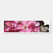 Crabapple Tree's Blooms Bumper Stickers