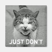 Crabby Cat Magnet