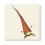 crabby magnets