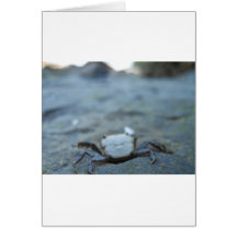 Crabby Smile Greeting Card