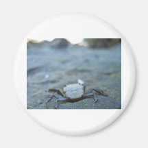Crabby Smile Magnet