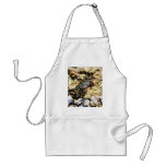 Crabs Barnicles Ocean Tidepools Sea Apron