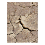 Cracked And Dried Mud At The Beach Postcards