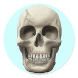 Cracked Skull stickers