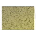 Cracked Wall Cards