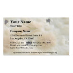 Cracker biscuits business cards