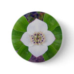Crackerberries 2 Button