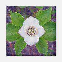Crackerberries 2 Magnet