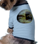 Craft Dungeon Zodiac - Gemini pet clothing